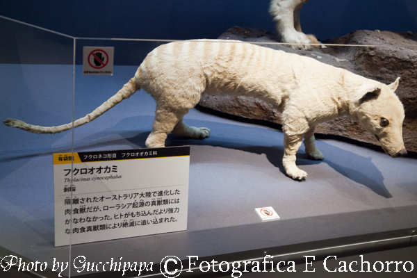20240613bl_03.jpg
